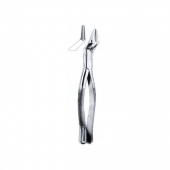 Extracting Forceps American Pattern